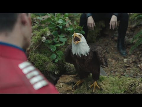 EAGLY TAKE THE HELMET! Scene | Peacemaker | S01E08