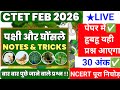 CTET Previous Year Question Paper Evs Pedagogy CTET 2025 Preparation