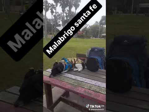 recorriendo el norte de santa fe