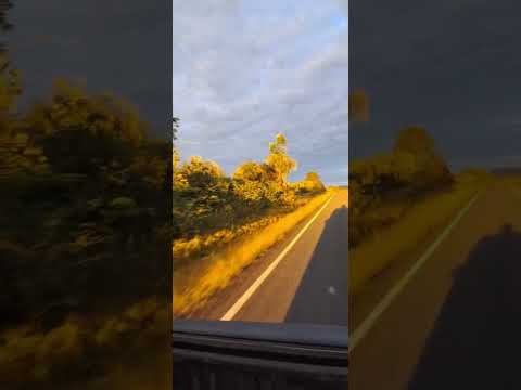 Final de tarde (Altos-Pi/Coivaras-Pi) #altospi #piauí #entardecer