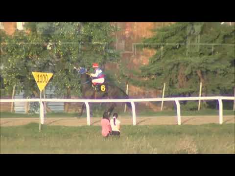 CARRERAS - SINT - FLORIDA  210422 c08 1° PALA HARD