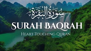 Download lagu Surah Al-Baqarah Complete | Peaceful Quran Recitation|🎙️ Mishary Rashid Alafasy| mp3