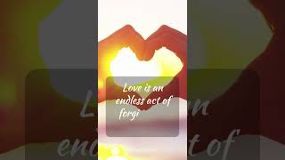 Unpacking Beyoncé&#39;s Truth: Endless Love &amp; Forgiveness 🌟💖