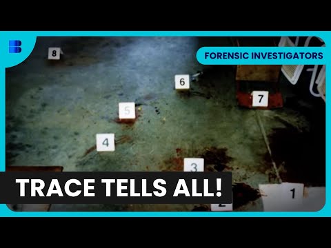 The Bloodstain That Solved It All! - Forensic Investigators