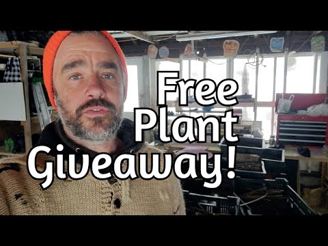 EdibleAcres: Plant Raffle Winners Revealed!