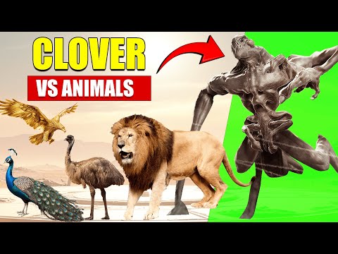 𝗖𝗟𝗢𝗩𝗘𝗥 𝘃𝘀 𝗔𝗹𝗹 𝗔𝗻𝗶𝗺𝗮𝗹𝘀 | 𝗦𝗶𝘇𝗲 𝗖𝗼𝗺𝗽𝗮𝗿𝗶𝘀𝗼𝗻 𝟮𝟬𝟮𝟱