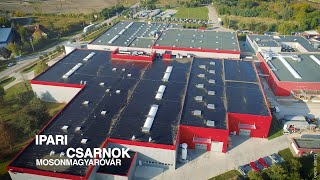 Megvalósult projekt – Ipari csarnok, Mosonmagyaróvár