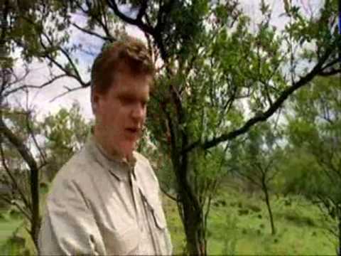 Camping with the Hazda Ray Mears Bushcraft S1E4 part 5