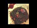 Manfred Mann's Earth Band   Sky High