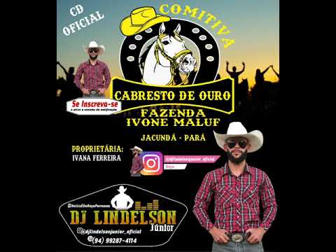 PARTE 02 - CD COMITIVA CABRESTO DE OURO 2021🤠🌾🔥DJ LINDELSON JÚNIOR 🇧🇷 LINK DO CD NA DESCRIÇÃO