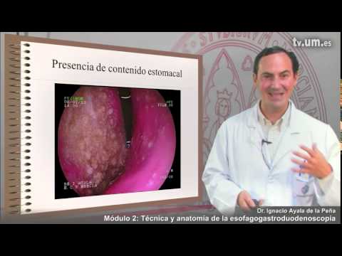 Maschera di fede di aloe della persona Pacchi di faccia quotidiani