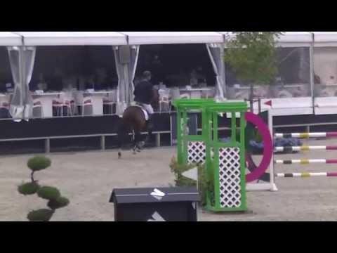 Power Blue  v. Plot Blue x Heartbreaker CSI* Tubbergen