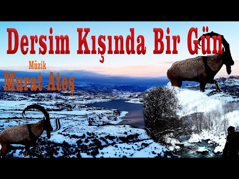 Dersim /Tunceli Kışında Bir Gün Kış Doğası Murat Ateş Dağların Hüznü