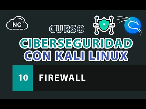 Curso de Ciberseguridad con Kali Linux Análisis de Endpoints de API