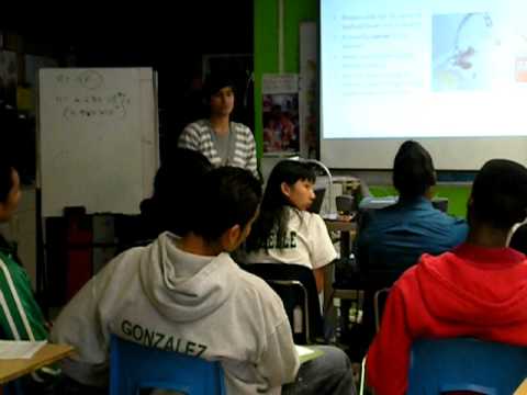 Typhoid Mary's Custard Part 1