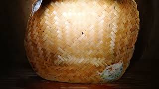 Download lagu RBW  UMUR 1 TAHUN BARU BISA PANEN 26 SAR mp3