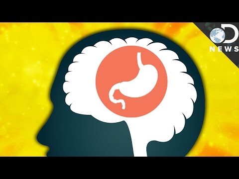 Do Gut Feelings Actually Exist?