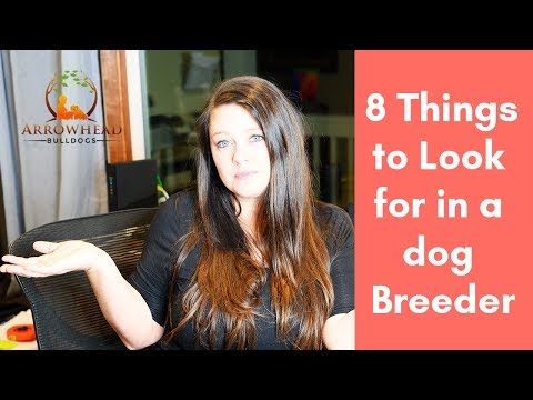 8 things to look for in a responsible Dog Breeder - Finding the Perfect Puppy