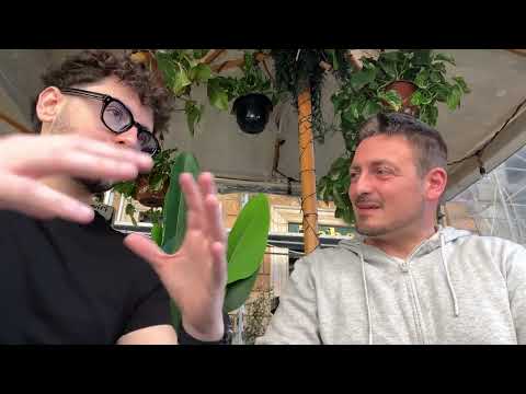 Marco Petralia : recensione DAL VIVO di Francesco (50% sul capitale in 15 giorni)