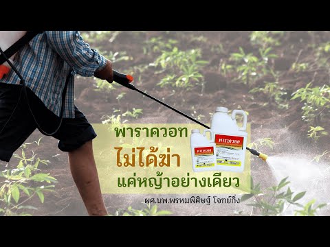 ตัวแทนหญิงของการอภิปราย เคล็ดลับในการปรับปรุงความแข็งแรง