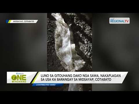 One Mindanao: Luno sa gitouhang dako nga sawa, nakaplagan sa Midsayap, Cotabato