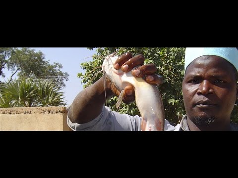 Make Bauchi Glow Again with Electricity