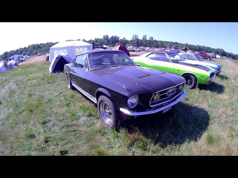 XII Edycja American Cars Mania Katowice Lotnisko Muchowiec 22.06.2025 r. #1