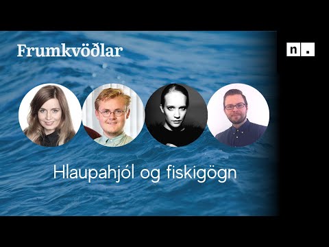 Frumkvöðlaspjall: Hlaupahjól og fiskigögn