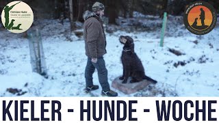 Apportieren / Nasenarbeit / Vorstehen / Gehorsam | Hundeschule U.B.