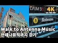 [4K] Walk to Antenna Music - Toy/You Heeyeol, Peppertones, Lucid Fall 안테나뮤직까지 걷기 - 토이/유희열,