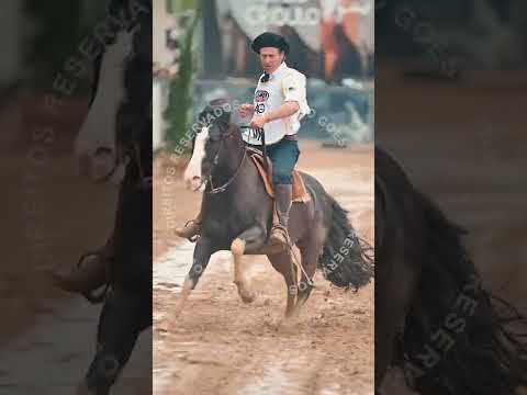 COLIBRI MATRERO - Tricampeão do Freio de Ouro