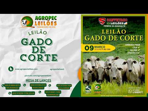 Agropecleiloes AO VIVO | LEILÃO GADO DE CORTE | SANTHYAGO LEILÕES |FORMOSO DO ARAGUAIA-TO | 09/03/26