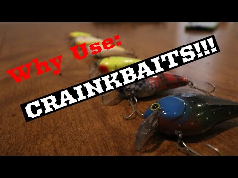 EVERYTHING YOU NEED To KNOW About CRAINKBAITS! [Three Minute Thursday]