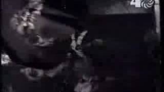 Andy Mccoy Strung out