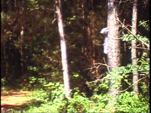 Emily and Brad in Athens GA