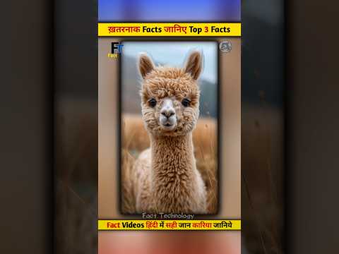 Top 3 Facts Amazing| #amazingfacts #shorts #facts #shortvideo #animals #camel #factsmine #science