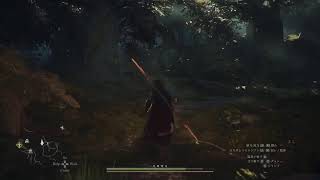 前回声入っておらずと気付いたドラゴンズドグマ２(実況)PS5配信＃８