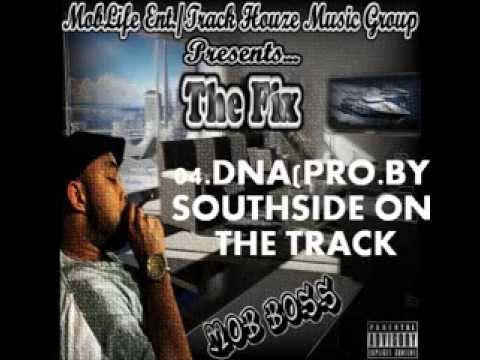 The Fix-DNA(Pro.By Southside On the Track)
