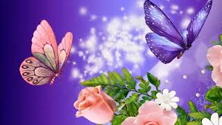 TU AMOR ME HACE FELIZ / Verónica Leal / letra