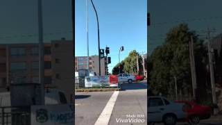 Día 3: automovilistas no respetan semáforo en rojo en San Pedro de la Paz