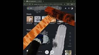 cats? 🧐🧐🧐😋😋😋 #googlecat #trending #subscribe