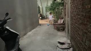 Súp vs bắp giải gia đình league lần VI
