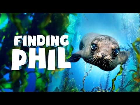 Finding Phil Preview