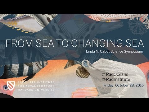 From Sea to Changing Sea | The Role of Oceans in Climate || Radcliffe Institute