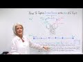 How to Capture Lessons Learned at the End of a ...
