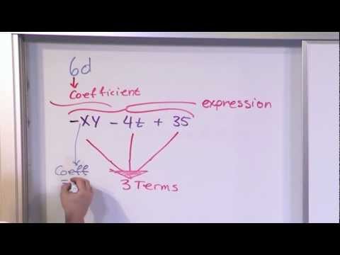 Algebraic Expressions, Terms, and Coefficients