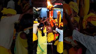 Download lagu காரமடை அரங்கனின் பந்தசேவை🔥😍#shorts #trendingshorts #shortsfeed #shortvideo #karamadai #temple #short mp3