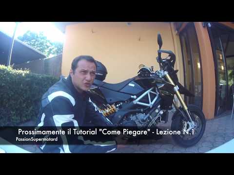 Schemi di lebedev di trattamento di parassiti Tafano di parassita dinsetto