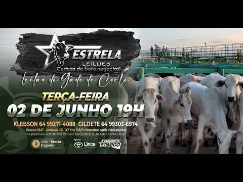 ESTRELA LEILÕES  - AO VIVO - 02/06/2026  -  19H - MORRINHOS - GOIÁS