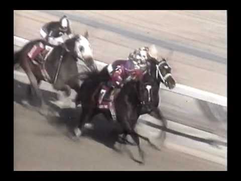 1994 Fall Highweight Handicap - Chimes Band